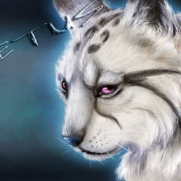 ���� ������, ��������, 58 ��� - ��������� 11 ��� 2013