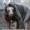 ���� �����, ������, 67 ��� - ��������� 14 ������ 2013 � ������ ���� ����������