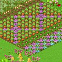 ���� ������, ������, 44 ���� - ��������� 8 ������ 2011 � ������ ������� �������