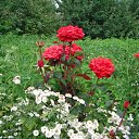 ���� �����, �������, 44 ���� - ��������� 12 ������� 2010 � ������ ������ � ���� ����