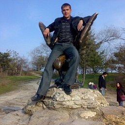 �����, ����������, 44 ����