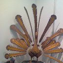  , -, 50  -  12  2009   