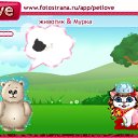 ���� ����, �����-���������, 27 ��� - ��������� 23 ������ 2010