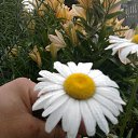 ���� ����, ������ ����, 41 ��� - ��������� 21 ������� 2011 � ������ �������