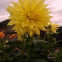 ���� �����, �������, 45 ��� - ��������� 4 ���� 2012 � ������ ���� ����������