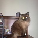   ( ),  -  23  2010     Ҹ!!!