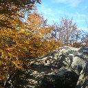  , , 45  -  18  2011    &quot;  &quot;