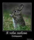 ���� Volf, ������, 42 ���� - ��������� 14 ���� 2011 � ������ ����