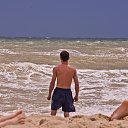   Fenix, , 38  -  2  2013    