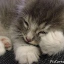 ���� �����, ����, 22 ���� - ��������� 2 ���� 2013