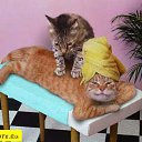 ���� ����. ��������� �� ��!, ������, 72 ���� - ��������� 28 ����� 2011 � ������ �������� ����