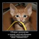 ���� ����, ����� - ��������� 7 ������� 2012 � ������ ��������������