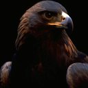 ���� �������, ������, 50 ��� - ��������� 8 ������� 2010 � ������ �������� � � ������