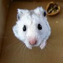  }|{E|{a, --, 50  -  7  2011