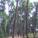 ���� �������, ������-��-����, 53 ���� - ��������� 31 ������ 2012 � ������ �� �������