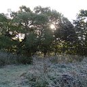 ���� ����, ������, 39 ��� - ��������� 6 ������ 2009