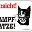 ���� ����, �����������, 60 ��� - ��������� 4 ���� 2011 � ������ �������