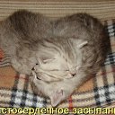 ���� �����, ������ ���, 40 ��� - ��������� 13 ��� 2013 � ������ ������ ��������