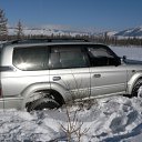 ���� ����������, ������, 44 ���� - ��������� 28 �������� 2010
