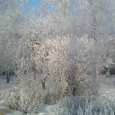  , -, 61  -  12  2012   