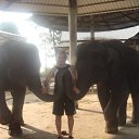 ���� �����, ���� - ��������� 26 ������ 2011 � ������ ���� ����������