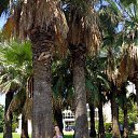 ���� �����, ��������, 55 ��� - ��������� 10 ���� 2013 � ������ ��������!!!�