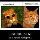 ���� ������, ������, 35 ��� - ��������� 23 ��� 2013 � ������ ���� ����������