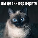  ,  -  1  2013    