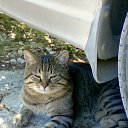 ���� �����, ������, 57 ��� - ��������� 27 ������� 2010 � ������ �������