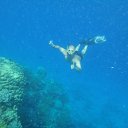 ����������) �� ������� ���� ����������