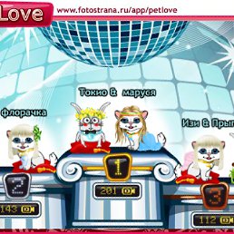 ���� ����, ������, 40 ��� - ��������� 20 ������� 2010
