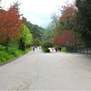 ���� ���������, ������, 61 ��� - ��������� 28 ��� 2011 � ������ ������ � �����������