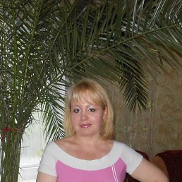 , 53, 