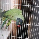 ���� ������, ����� - ��������� 19 ������ 2012 � ������ �������