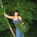  , , 50  -  18  2013    2013