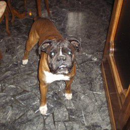 ���� Yoghi, ����, 62 ���� - ��������� 27 ������ 2011