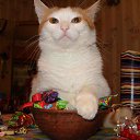 ���� ���������, �������, 42 ���� - ��������� 18 ������ 2012 � ������ �������