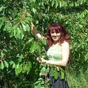 ���� ������, ������������, 56 ��� - ��������� 2 ���� 2010 � ������ ���� ����������