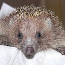 ���� ������, ������, 49 ��� - ��������� 2 ����� 2011 � ������ �������