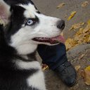 ���� �������, ������������, 42 ���� - ��������� 19 ������� 2011 � ������ ���� ����� � ���-�������.�