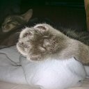 ���� �������, �������, 47 ��� - ��������� 6 ������� 2010 � ������ ���������