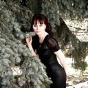 ���� ��������, ������, 51 ��� - ��������� 22 ������ 2012 � ������ ���� ����������