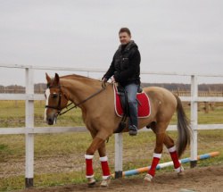 �����, ������, 50 ���