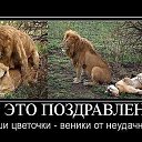 ���� �����, ������ - ��������� 28 ����� 2013 � ������ �������!!!!!!!!!!�