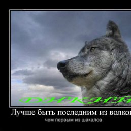 �����, ����