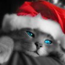 ���� ����, ������ - ��������� 30 ��� 2013 � ������ ���� ����������