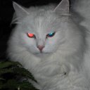 ���� ���������, ������, 68 ��� - ��������� 6 ���� 2012 � ������ ������ ������