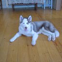 ���� ��������, ������, 52 ���� - ��������� 13 ����� 2012 � ������ ���� ����������