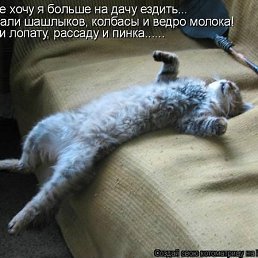 ���� �����, ������, 24 ���� - ��������� 29 ���� 2011