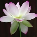 ���� ����� - ���������� ��������!!!, �����������, 56 ��� - ��������� 15 ������ 2010 � ������ �������� ��� ���� :-)))�